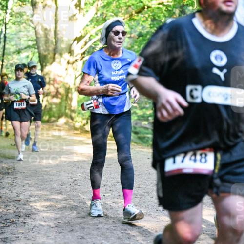 28.09.2025 - 33. Volkslauf durch das schöne Alstertal Dr. Thomas Lammeyer http://msf.ph/oto/8952511 28.09.2025 10:21:44 Laufen 1041, 15, 1748 meine-sportfotos.de