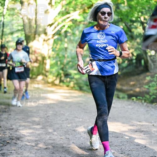 28.09.2025 - 33. Volkslauf durch das schöne Alstertal Dr. Thomas Lammeyer http://msf.ph/oto/8952514 28.09.2025 10:21:44 Laufen  meine-sportfotos.de