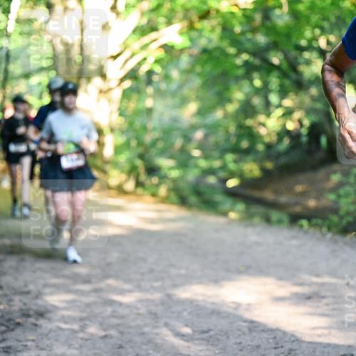 28.09.2025 - 33. Volkslauf durch das schöne Alstertal Dr. Thomas Lammeyer http://msf.ph/oto/8952519 28.09.2025 10:21:45 Laufen  meine-sportfotos.de