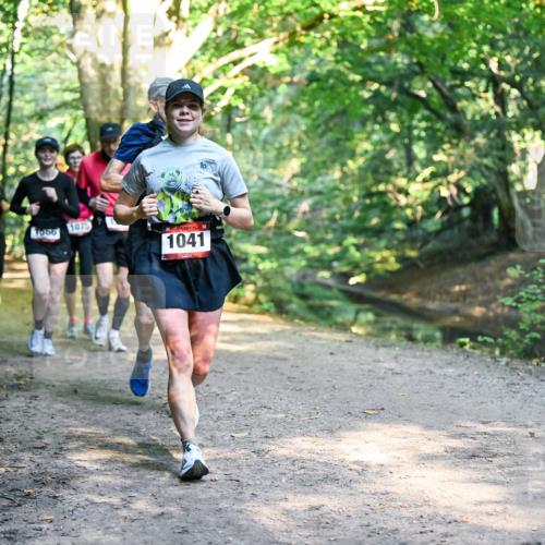 28.09.2025 - 33. Volkslauf durch das schöne Alstertal Dr. Thomas Lammeyer http://msf.ph/oto/8952523 28.09.2025 10:21:46 Laufen 1966, 1075, 1041 meine-sportfotos.de