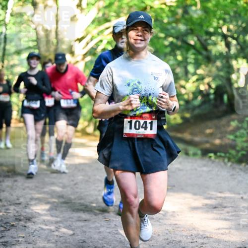 28.09.2025 - 33. Volkslauf durch das schöne Alstertal Dr. Thomas Lammeyer http://msf.ph/oto/8952529 28.09.2025 10:21:47 Laufen 36, 19, 1041 meine-sportfotos.de