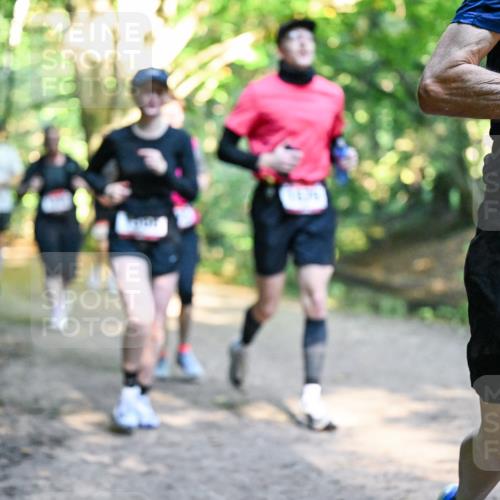 28.09.2025 - 33. Volkslauf durch das schöne Alstertal Dr. Thomas Lammeyer http://msf.ph/oto/8952533 28.09.2025 10:21:48 Laufen 1702 meine-sportfotos.de