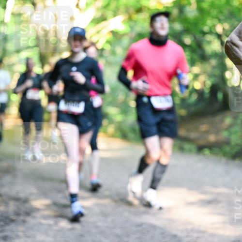 28.09.2025 - 33. Volkslauf durch das schöne Alstertal Dr. Thomas Lammeyer http://msf.ph/oto/8952534 28.09.2025 10:21:48 Laufen  meine-sportfotos.de