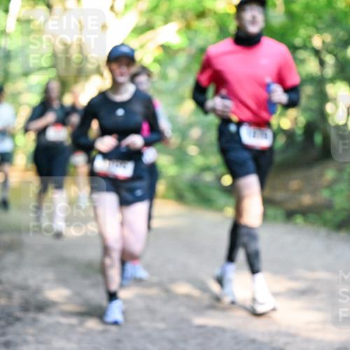 28.09.2025 - 33. Volkslauf durch das schöne Alstertal Dr. Thomas Lammeyer http://msf.ph/oto/8952535 28.09.2025 10:21:48 Laufen  meine-sportfotos.de