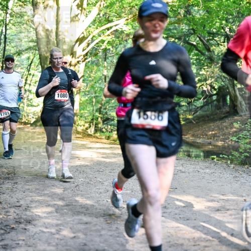 28.09.2025 - 33. Volkslauf durch das schöne Alstertal Dr. Thomas Lammeyer http://msf.ph/oto/8952537 28.09.2025 10:21:49 Laufen 094, 1701, 1080, 1579, 1586 meine-sportfotos.de