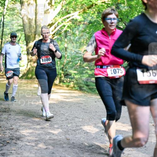 28.09.2025 - 33. Volkslauf durch das schöne Alstertal Dr. Thomas Lammeyer http://msf.ph/oto/8952540 28.09.2025 10:21:49 Laufen 1080, 1701, 1075, 1566 meine-sportfotos.de