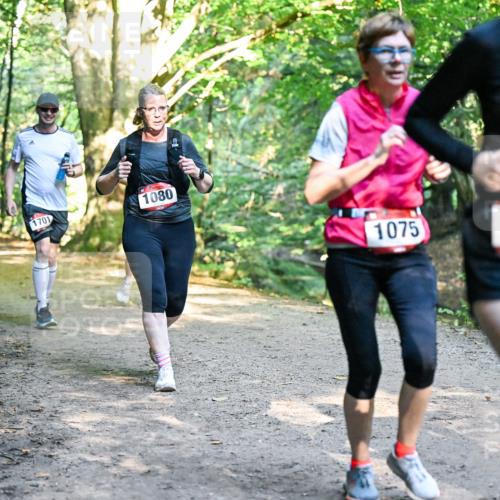 28.09.2025 - 33. Volkslauf durch das schöne Alstertal Dr. Thomas Lammeyer http://msf.ph/oto/8952541 28.09.2025 10:21:49 Laufen 1701, 1080, 1075, 1056 meine-sportfotos.de