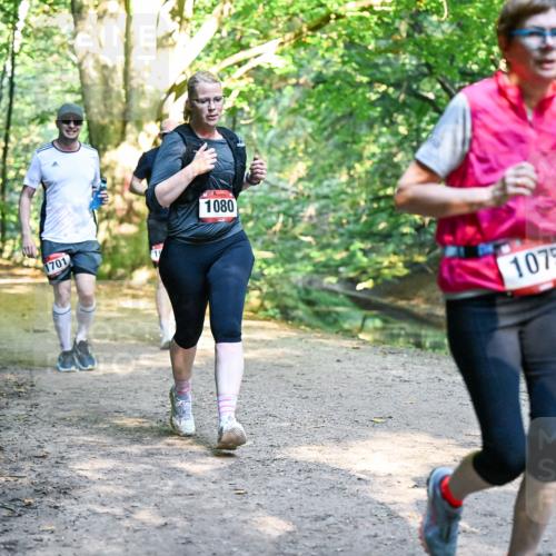 28.09.2025 - 33. Volkslauf durch das schöne Alstertal Dr. Thomas Lammeyer http://msf.ph/oto/8952543 28.09.2025 10:21:50 Laufen 1701, 1080, 1075 meine-sportfotos.de