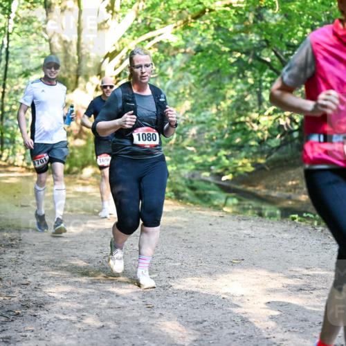 28.09.2025 - 33. Volkslauf durch das schöne Alstertal Dr. Thomas Lammeyer http://msf.ph/oto/8952544 28.09.2025 10:21:50 Laufen 1701, 169, 1080, 1075 meine-sportfotos.de