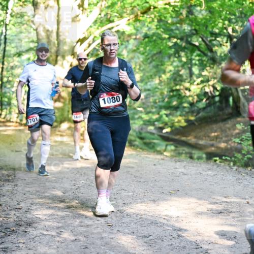 28.09.2025 - 33. Volkslauf durch das schöne Alstertal Dr. Thomas Lammeyer http://msf.ph/oto/8952545 28.09.2025 10:21:50 Laufen 1701, 169, 1080, 1075 meine-sportfotos.de