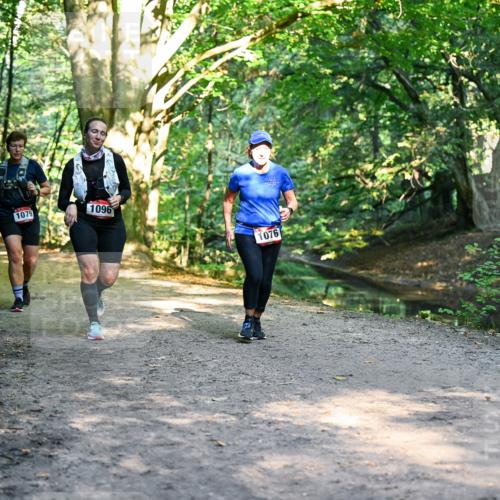 28.09.2025 - 33. Volkslauf durch das schöne Alstertal Dr. Thomas Lammeyer http://msf.ph/oto/8952597 28.09.2025 10:22:05 Laufen 1099, 1079, 1096, 1076 meine-sportfotos.de
