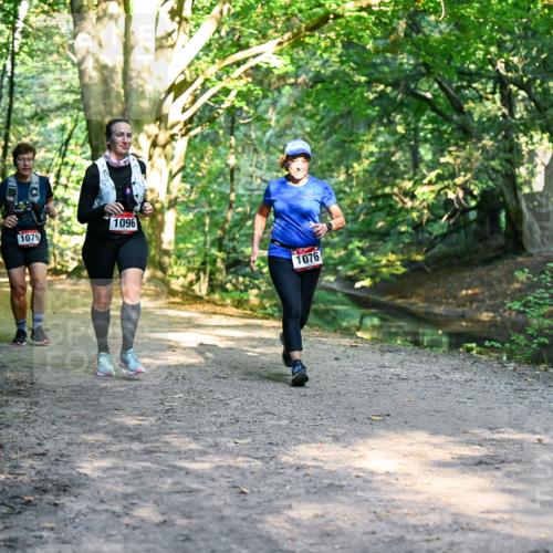 28.09.2025 - 33. Volkslauf durch das schöne Alstertal Dr. Thomas Lammeyer http://msf.ph/oto/8952598 28.09.2025 10:22:06 Laufen 1079, 1096, 1076 meine-sportfotos.de