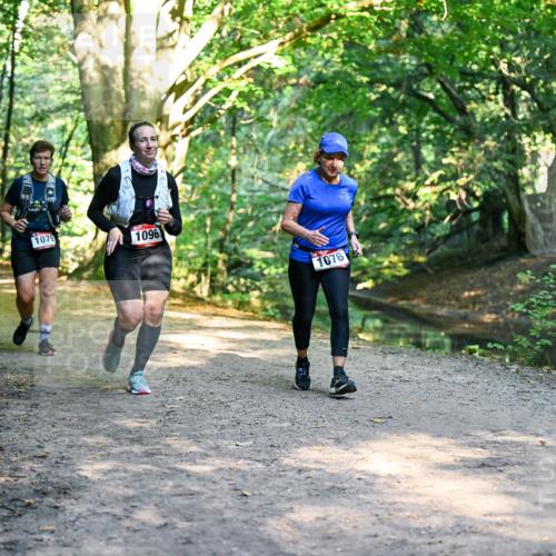 28.09.2025 - 33. Volkslauf durch das schöne Alstertal Dr. Thomas Lammeyer http://msf.ph/oto/8952600 28.09.2025 10:22:06 Laufen 1047, 1079, 1096, 1076 meine-sportfotos.de