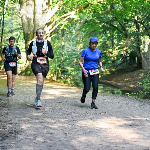 28.09.2025 - 33. Volkslauf durch das schöne Alstertal Dr. Thomas Lammeyer http://msf.ph/oto/8952601 28.09.2025 10:22:06 Laufen 1096, 1079, 1076 meine-sportfotos.de
