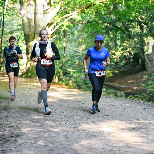 28.09.2025 - 33. Volkslauf durch das schöne Alstertal Dr. Thomas Lammeyer http://msf.ph/oto/8952602 28.09.2025 10:22:06 Laufen 1079, 1096, 1076 meine-sportfotos.de