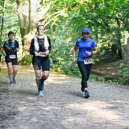 28.09.2025 - 33. Volkslauf durch das schöne Alstertal Dr. Thomas Lammeyer http://msf.ph/oto/8952603 28.09.2025 10:22:06 Laufen 1079, 1096, 1076 meine-sportfotos.de