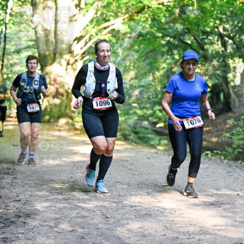 28.09.2025 - 33. Volkslauf durch das schöne Alstertal Dr. Thomas Lammeyer http://msf.ph/oto/8952604 28.09.2025 10:22:07 Laufen 1079, 1096, 1076 meine-sportfotos.de