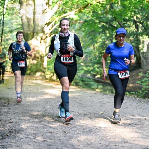 28.09.2025 - 33. Volkslauf durch das schöne Alstertal Dr. Thomas Lammeyer http://msf.ph/oto/8952605 28.09.2025 10:22:07 Laufen 1079, 1096, 1076 meine-sportfotos.de