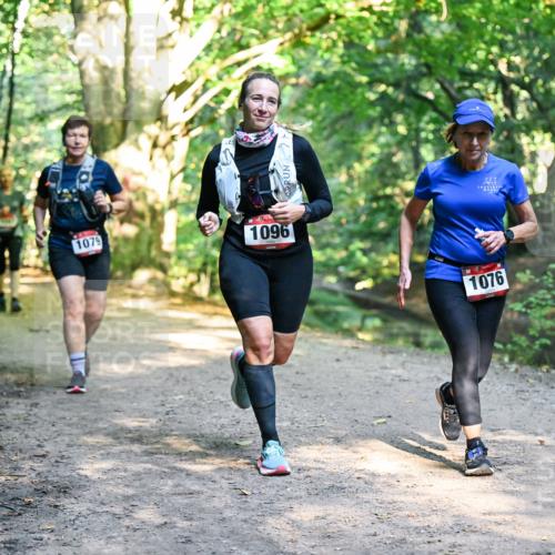 28.09.2025 - 33. Volkslauf durch das schöne Alstertal Dr. Thomas Lammeyer http://msf.ph/oto/8952606 28.09.2025 10:22:07 Laufen 1079, 1096, 1076 meine-sportfotos.de