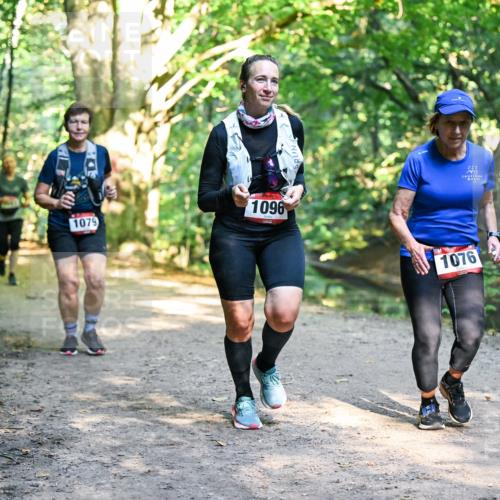 28.09.2025 - 33. Volkslauf durch das schöne Alstertal Dr. Thomas Lammeyer http://msf.ph/oto/8952607 28.09.2025 10:22:07 Laufen 1079, 1096, 1076 meine-sportfotos.de