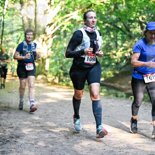 28.09.2025 - 33. Volkslauf durch das schöne Alstertal Dr. Thomas Lammeyer http://msf.ph/oto/8952608 28.09.2025 10:22:07 Laufen 107, 1096, 1076, 227 meine-sportfotos.de