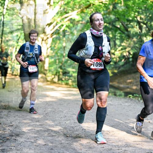 28.09.2025 - 33. Volkslauf durch das schöne Alstertal Dr. Thomas Lammeyer http://msf.ph/oto/8952609 28.09.2025 10:22:07 Laufen 1079, 1096, 076, 222 meine-sportfotos.de