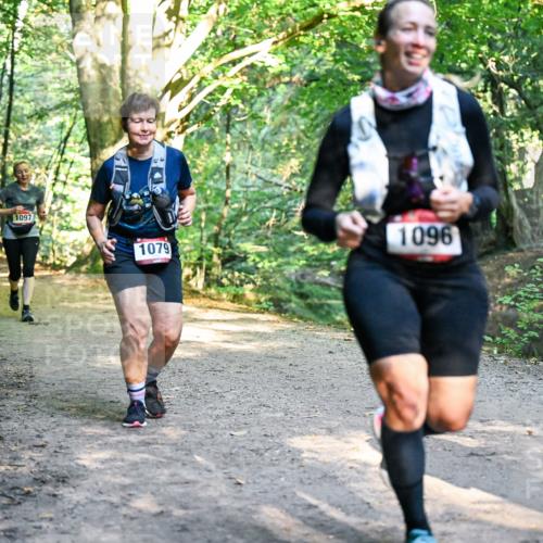 28.09.2025 - 33. Volkslauf durch das schöne Alstertal Dr. Thomas Lammeyer http://msf.ph/oto/8952612 28.09.2025 10:22:08 Laufen 107, 1093, 1097, 1079, 1096 meine-sportfotos.de