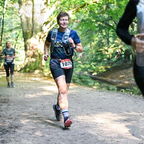 28.09.2025 - 33. Volkslauf durch das schöne Alstertal Dr. Thomas Lammeyer http://msf.ph/oto/8952614 28.09.2025 10:22:08 Laufen 1097, 1079, 1096 meine-sportfotos.de