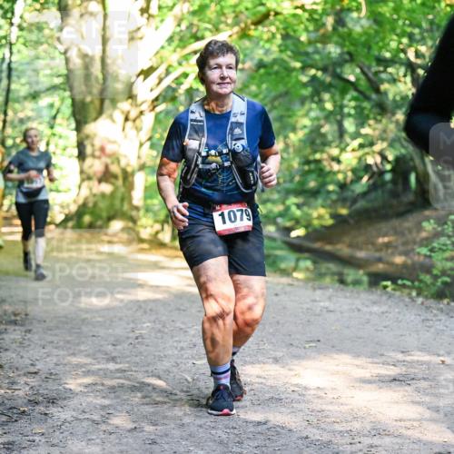 28.09.2025 - 33. Volkslauf durch das schöne Alstertal Dr. Thomas Lammeyer http://msf.ph/oto/8952615 28.09.2025 10:22:09 Laufen 1079 meine-sportfotos.de