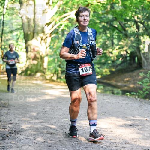 28.09.2025 - 33. Volkslauf durch das schöne Alstertal Dr. Thomas Lammeyer http://msf.ph/oto/8952616 28.09.2025 10:22:09 Laufen 1079 meine-sportfotos.de