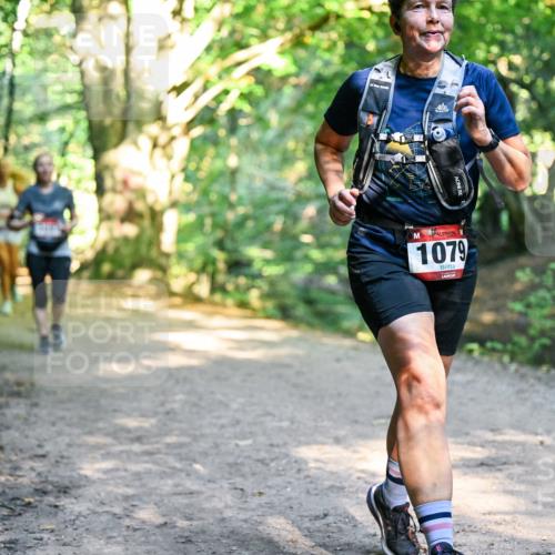 28.09.2025 - 33. Volkslauf durch das schöne Alstertal Dr. Thomas Lammeyer http://msf.ph/oto/8952619 28.09.2025 10:22:09 Laufen 1079 meine-sportfotos.de