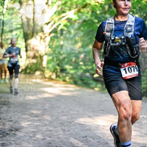 28.09.2025 - 33. Volkslauf durch das schöne Alstertal Dr. Thomas Lammeyer http://msf.ph/oto/8952620 28.09.2025 10:22:09 Laufen 1079 meine-sportfotos.de