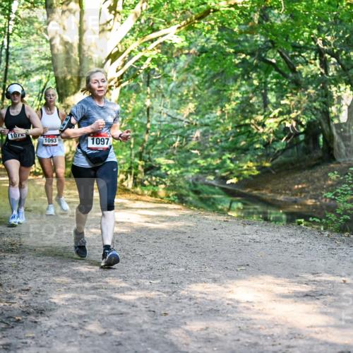 28.09.2025 - 33. Volkslauf durch das schöne Alstertal Dr. Thomas Lammeyer http://msf.ph/oto/8952622 28.09.2025 10:22:11 Laufen 1717, 107, 1093, 1097 meine-sportfotos.de