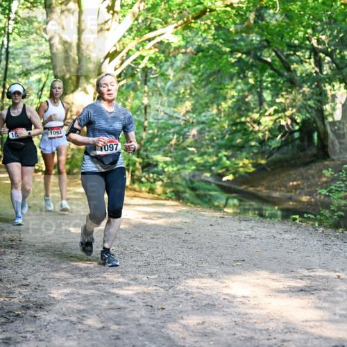 28.09.2025 - 33. Volkslauf durch das schöne Alstertal Dr. Thomas Lammeyer http://msf.ph/oto/8952623 28.09.2025 10:22:11 Laufen 1093, 097 meine-sportfotos.de