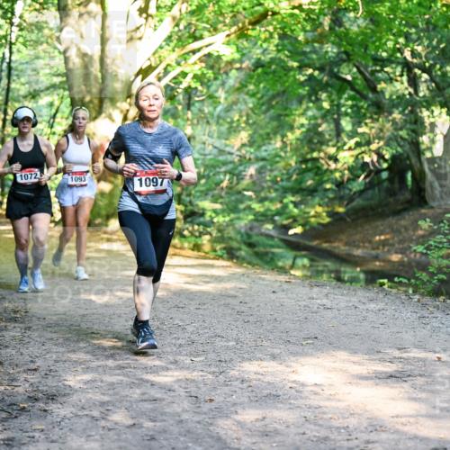 28.09.2025 - 33. Volkslauf durch das schöne Alstertal Dr. Thomas Lammeyer http://msf.ph/oto/8952624 28.09.2025 10:22:11 Laufen 1717, 1072, 1093, 1097 meine-sportfotos.de