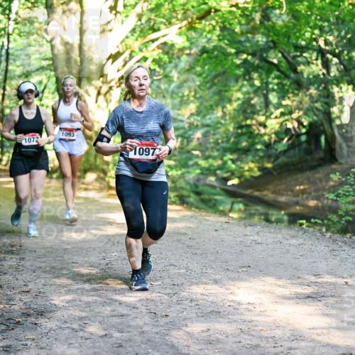 28.09.2025 - 33. Volkslauf durch das schöne Alstertal Dr. Thomas Lammeyer http://msf.ph/oto/8952626 28.09.2025 10:22:11 Laufen 1717, 1093, 1072, 10972 meine-sportfotos.de