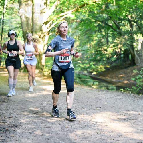 28.09.2025 - 33. Volkslauf durch das schöne Alstertal Dr. Thomas Lammeyer http://msf.ph/oto/8952627 28.09.2025 10:22:11 Laufen 1717, 1093, 1097 meine-sportfotos.de
