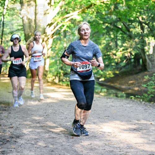 28.09.2025 - 33. Volkslauf durch das schöne Alstertal Dr. Thomas Lammeyer http://msf.ph/oto/8952629 28.09.2025 10:22:12 Laufen 017, 1072, 1093, 097 meine-sportfotos.de