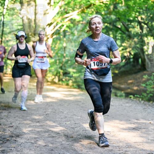 28.09.2025 - 33. Volkslauf durch das schöne Alstertal Dr. Thomas Lammeyer http://msf.ph/oto/8952631 28.09.2025 10:22:12 Laufen 1072, 1097 meine-sportfotos.de