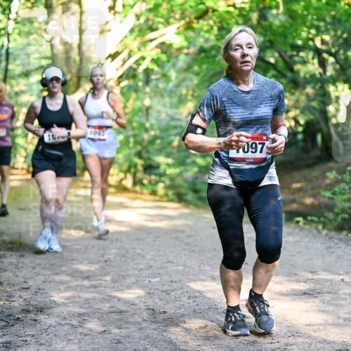 28.09.2025 - 33. Volkslauf durch das schöne Alstertal Dr. Thomas Lammeyer http://msf.ph/oto/8952632 28.09.2025 10:22:12 Laufen 1093, 097 meine-sportfotos.de