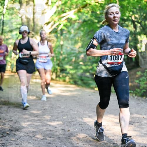 28.09.2025 - 33. Volkslauf durch das schöne Alstertal Dr. Thomas Lammeyer http://msf.ph/oto/8952633 28.09.2025 10:22:12 Laufen 1097 meine-sportfotos.de
