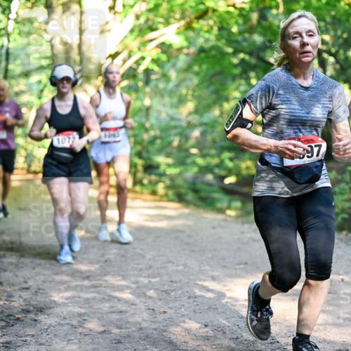 28.09.2025 - 33. Volkslauf durch das schöne Alstertal Dr. Thomas Lammeyer http://msf.ph/oto/8952634 28.09.2025 10:22:12 Laufen 1077, 97 meine-sportfotos.de
