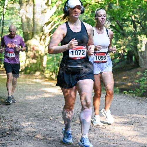 28.09.2025 - 33. Volkslauf durch das schöne Alstertal Dr. Thomas Lammeyer http://msf.ph/oto/8952642 28.09.2025 10:22:14 Laufen 1717, 1072, 1093 meine-sportfotos.de