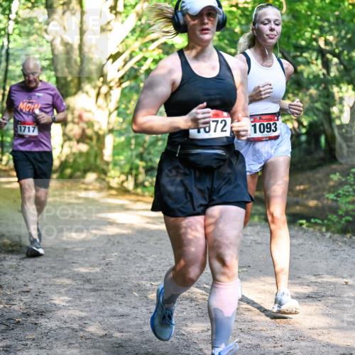 28.09.2025 - 33. Volkslauf durch das schöne Alstertal Dr. Thomas Lammeyer http://msf.ph/oto/8952643 28.09.2025 10:22:14 Laufen 1717, 872, 1093 meine-sportfotos.de