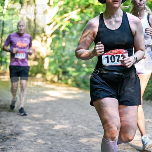 28.09.2025 - 33. Volkslauf durch das schöne Alstertal Dr. Thomas Lammeyer http://msf.ph/oto/8952646 28.09.2025 10:22:14 Laufen 1072 meine-sportfotos.de