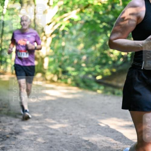 28.09.2025 - 33. Volkslauf durch das schöne Alstertal Dr. Thomas Lammeyer http://msf.ph/oto/8952648 28.09.2025 10:22:15 Laufen 1717, 072 meine-sportfotos.de