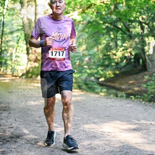 28.09.2025 - 33. Volkslauf durch das schöne Alstertal Dr. Thomas Lammeyer http://msf.ph/oto/8952655 28.09.2025 10:22:16 Laufen 1717 meine-sportfotos.de