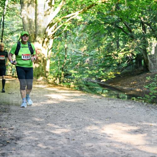 28.09.2025 - 33. Volkslauf durch das schöne Alstertal Dr. Thomas Lammeyer http://msf.ph/oto/8952661 28.09.2025 10:22:21 Laufen 1745, 1740, 1727 meine-sportfotos.de