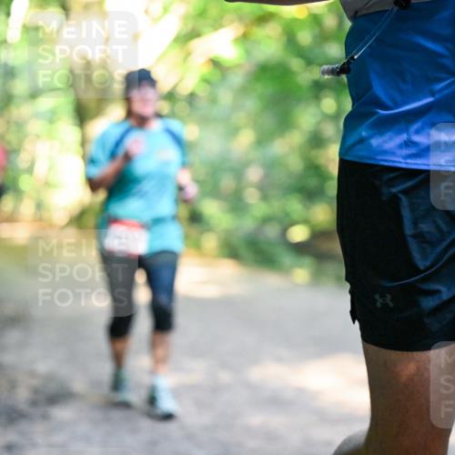 28.09.2025 - 33. Volkslauf durch das schöne Alstertal Dr. Thomas Lammeyer http://msf.ph/oto/8952703 28.09.2025 10:22:29 Laufen 1745 meine-sportfotos.de