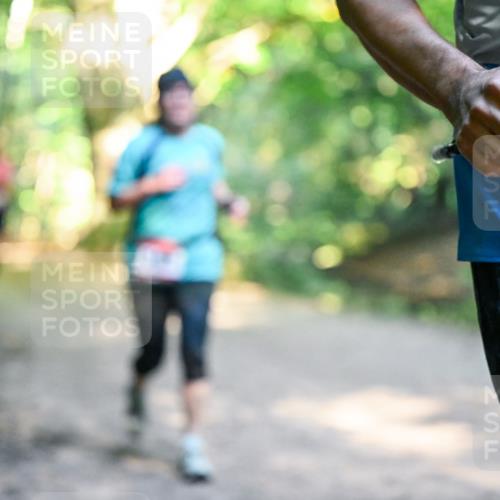 28.09.2025 - 33. Volkslauf durch das schöne Alstertal Dr. Thomas Lammeyer http://msf.ph/oto/8952704 28.09.2025 10:22:29 Laufen  meine-sportfotos.de